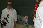 The rose is no fire