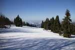 ZWARDO� KLASY 2C I 1H