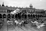 Krak�w 2010