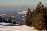 Zwardo� 2011
